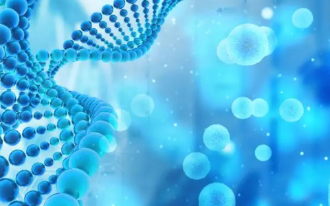 干細胞治療合法嗎