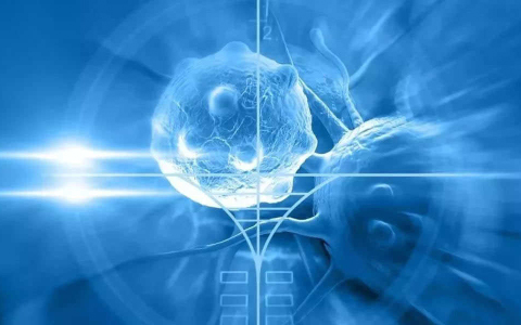 干細胞治療禁忌癥