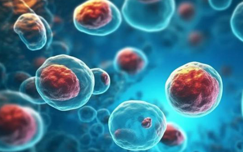 自體干細(xì)胞美容價(jià)格