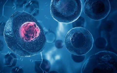 50歲打干細胞能年輕十歲嗎