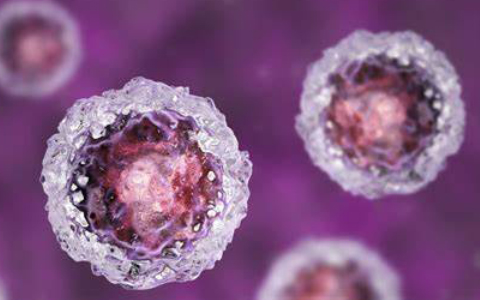 干細胞除皺可以維持多久