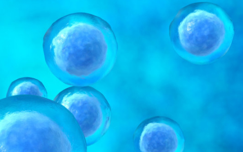 打干細(xì)胞除皺多久才有效果