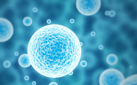 干細(xì)胞除皺好還是除皺針好